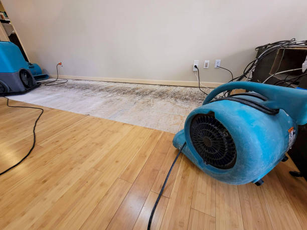 Reliable Basement Flood Cleanup contractor in Warrington, PA by Hirex Water Damage