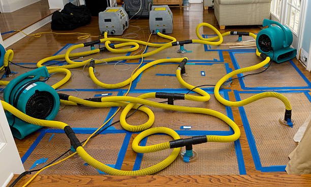 Professional Basement Flood Cleanup technician working in Warrington, PA